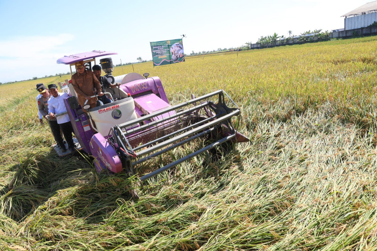Panen Raya, Gubernur Banten Andra Soni Pastikan Harga Gabah Kering Panen Rp6.500/Kg